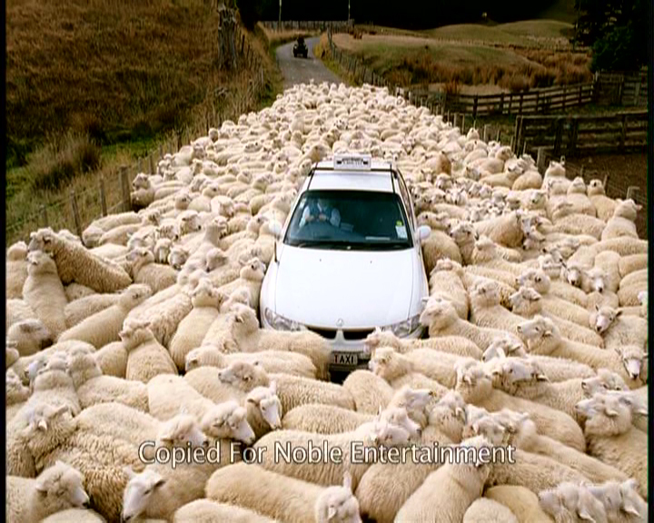 Stillbild ur Black Sheep, 01:08:00