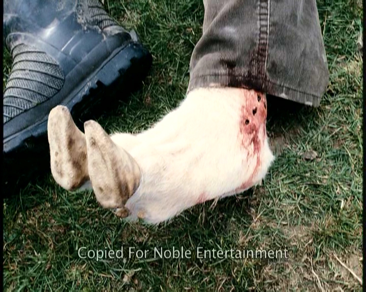 Stillbild ur Black Sheep, 01:63:19