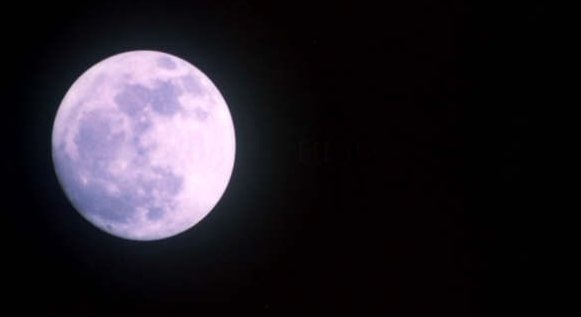 Stillbild ur Blue Sunshine, 01:14:37