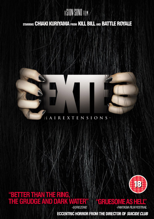 Affisch: Exte: Hair Extensions