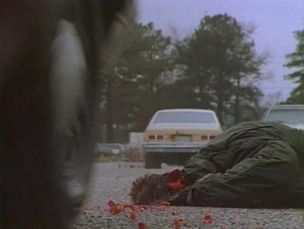Stillbild ur Psycho Kickboxer & Canvas of Blood, 01:151:56