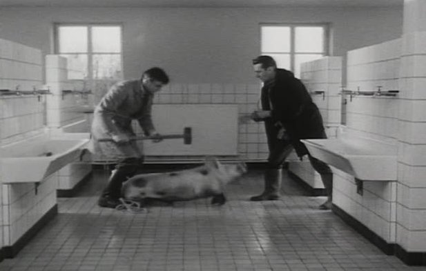 Stillbild ur Spiritual Exercises: 10 Films by Olivier Smolders, 01:98:05