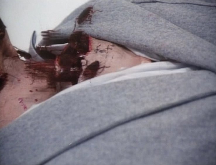 Stillbild ur Creepshow, 01:33:14