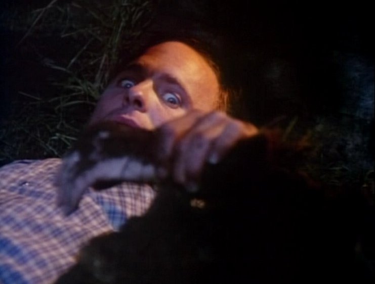 Stillbild ur Creepshow, 01:77:42
