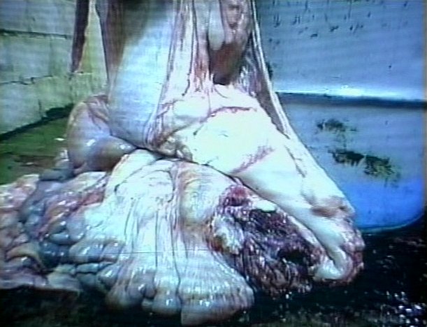 Stillbild ur The Severed Head Network, 01:42:51